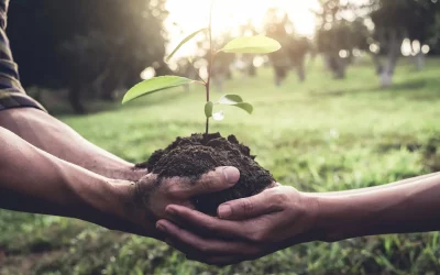 EMAS Auszeichnung für iTerra energy GmbH