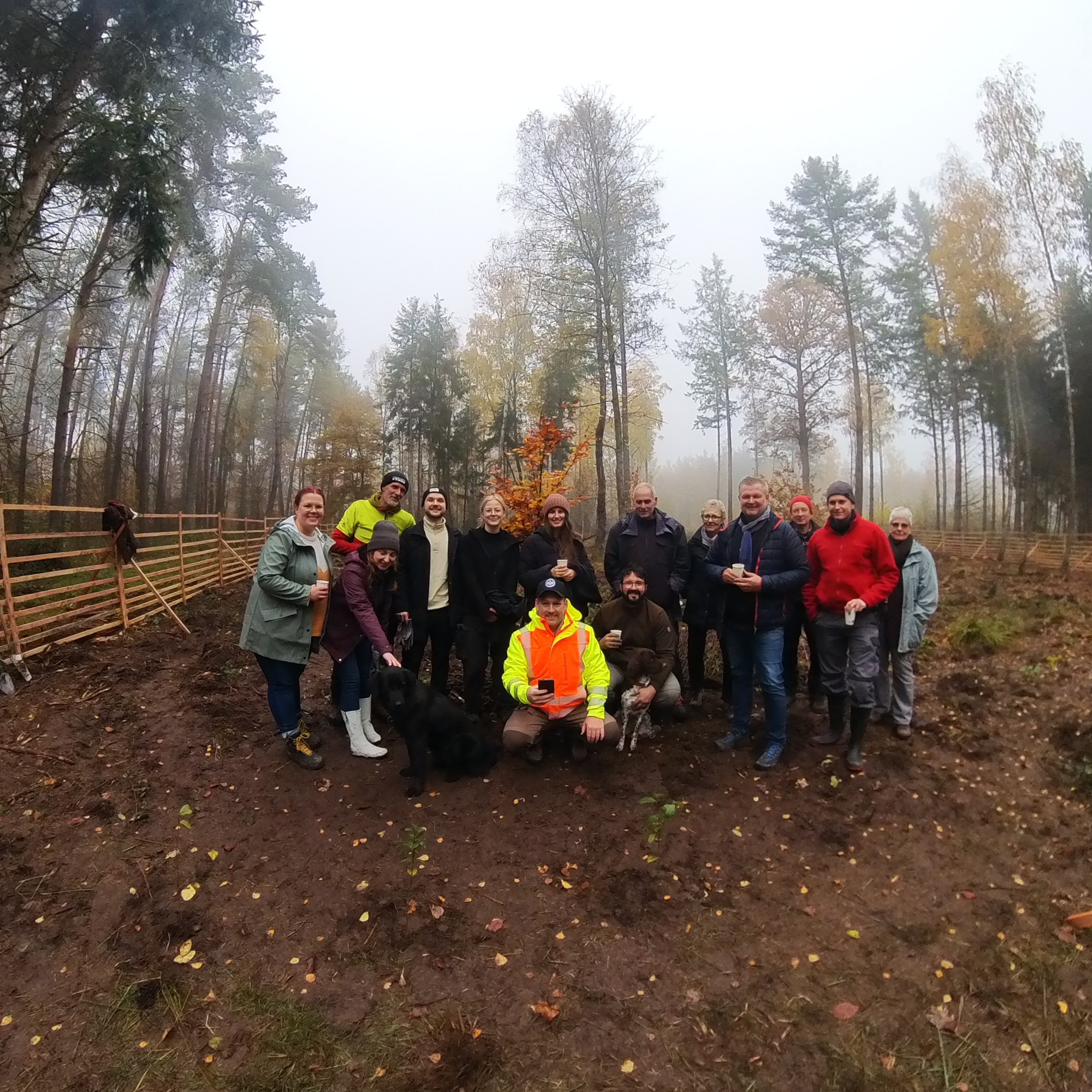 iTerra energy pflanzt 675 neue Bäume